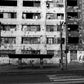"RIO" by Boogie - Publication and Signed Print