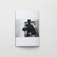 Boogie "New York XEROX"