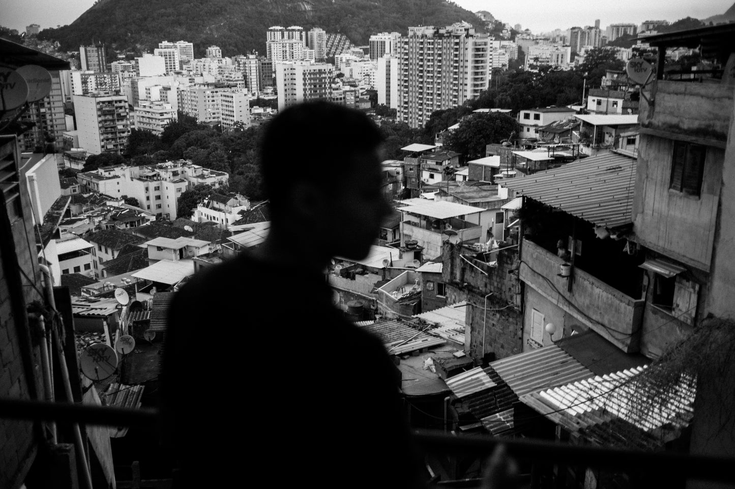 "RIO" by Boogie - Publication and Signed Print